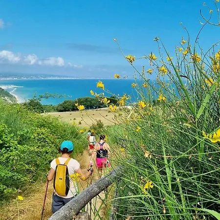 Hotel Alexander Gabicce Mare