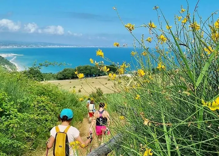 Hotel Alexander Gabicce Mare
